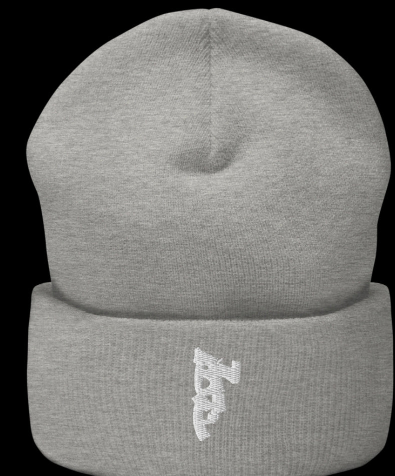 Cuffed beenie