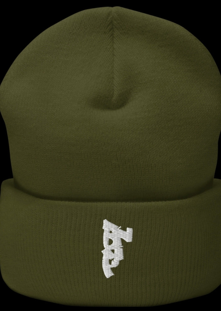 Cuffed beenie