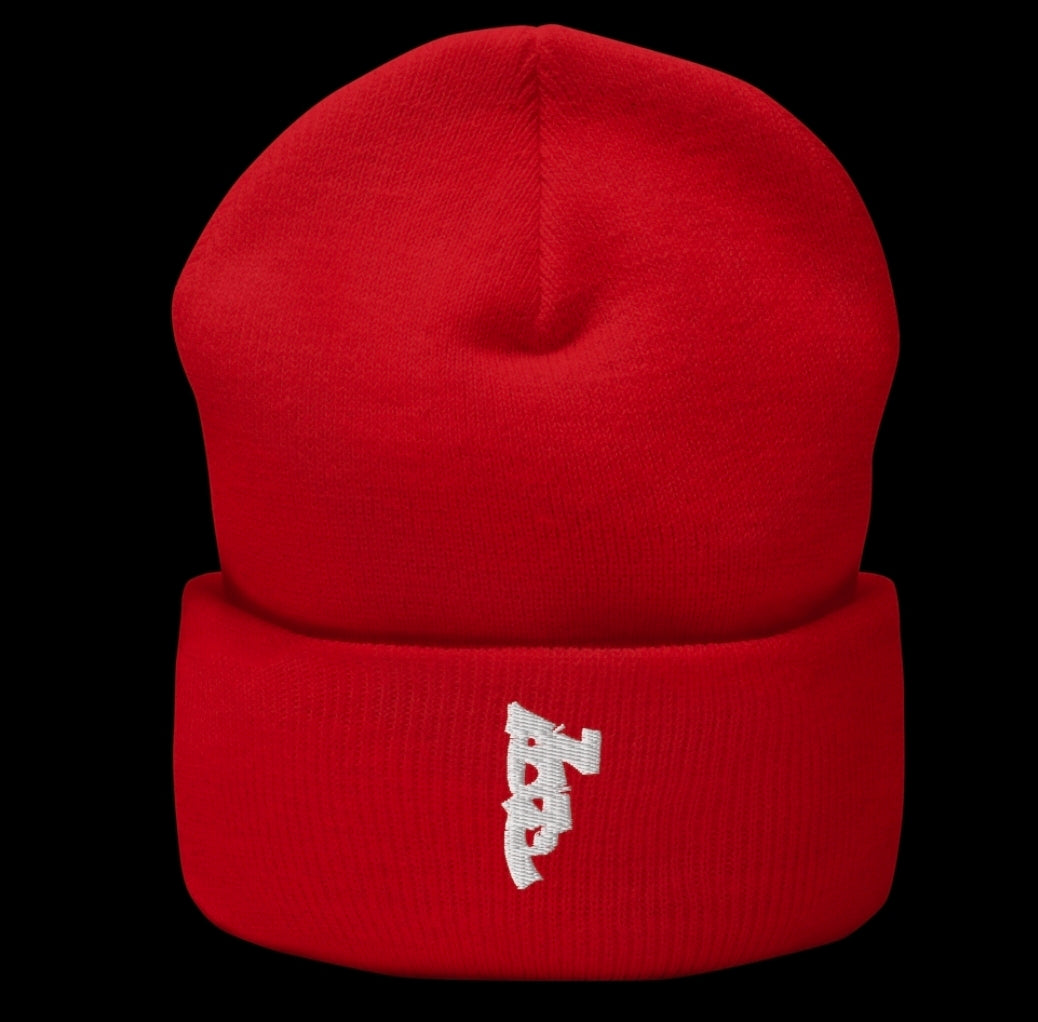 Cuffed beenie