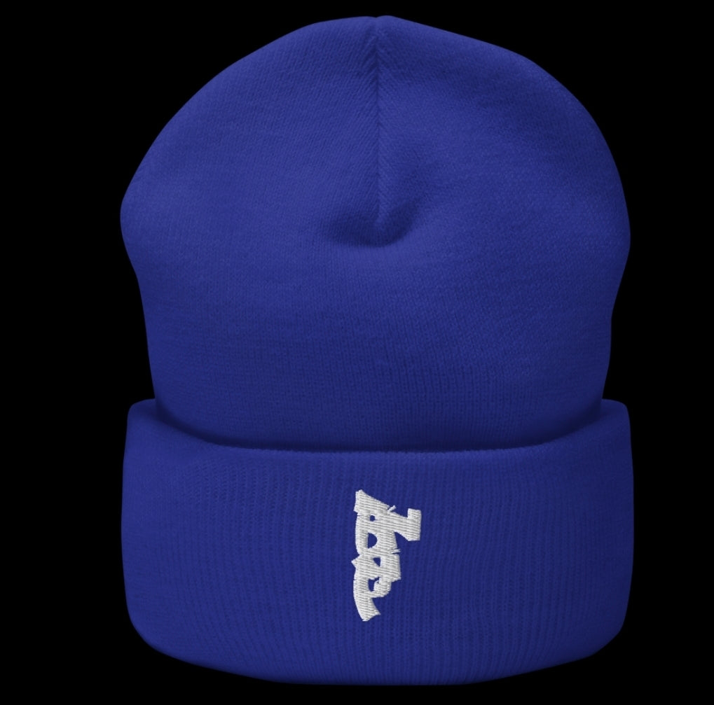 Cuffed beenie