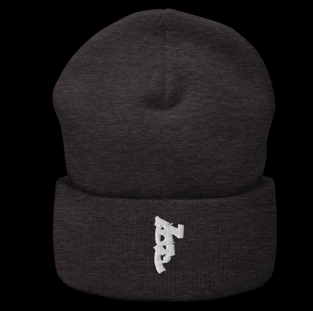Cuffed beenie