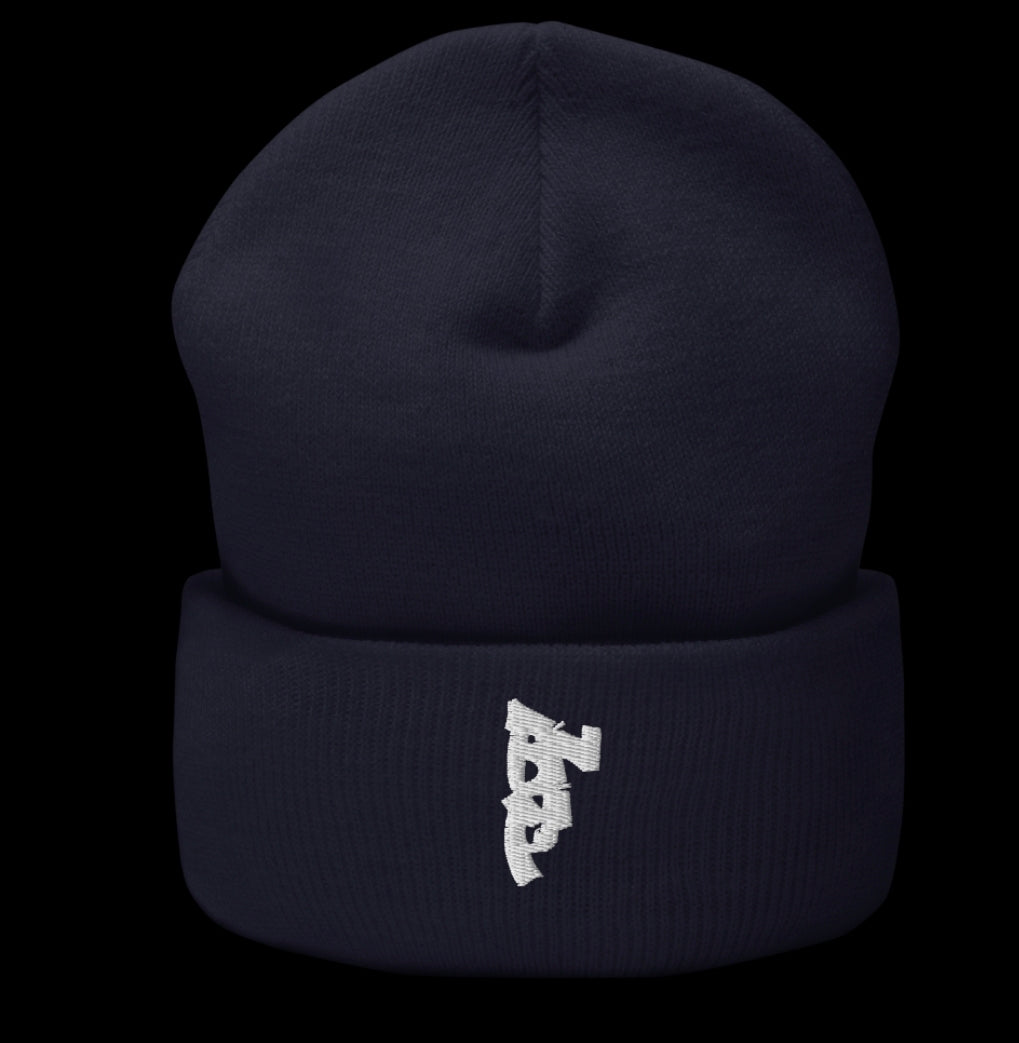 Cuffed beenie