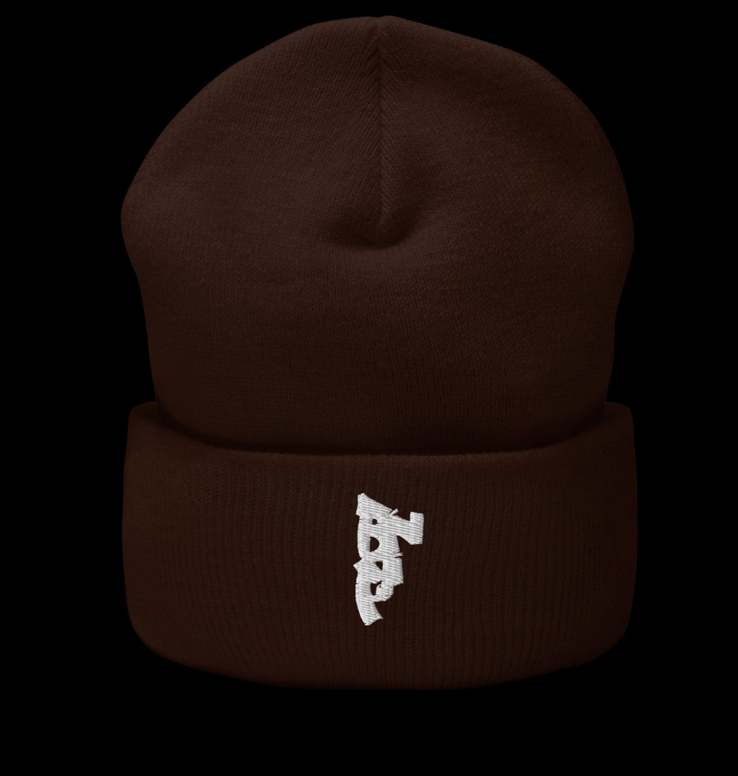 Cuffed beenie